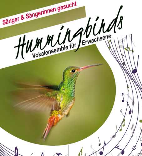 HummingBirds